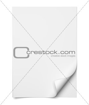 Blank empty sheet of white paper with curled corner