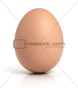 Brown chicken egg on white