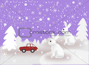 Car and Rabbits in Snowy Weather