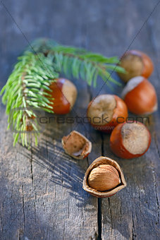  hazelnuts on wooden background