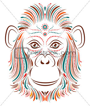 monkey on white background