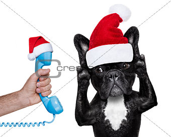 santa claus dog listening  to the phone