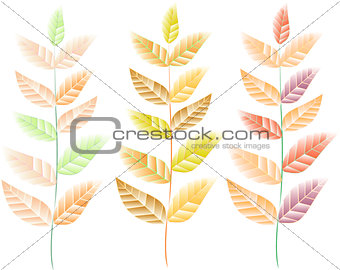 Three branches with colorful leaves