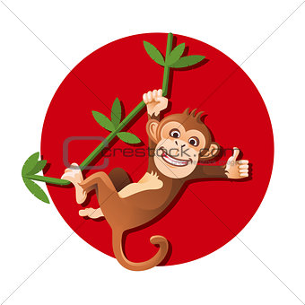 Monkey hanging on the tree