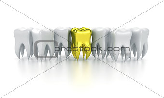 The human teeth