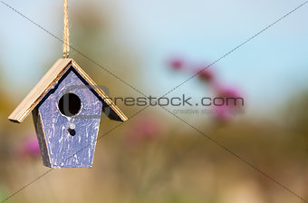 Bird House in Sunshine with Country Flowers