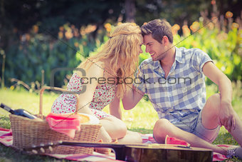 Young couple on a picnic looking at each other