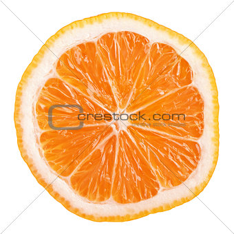 Slice of Rangpur (lemandarin) - citrus fruit, hybrid mandarin orange and lemon