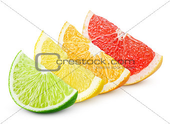Sliced citrus fruit - lime, lemon, orange and grapefruit