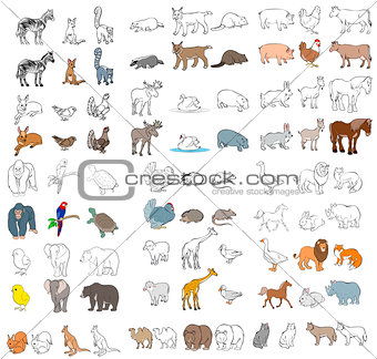 Different animals set