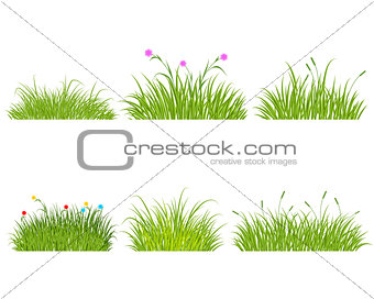 Green grass set