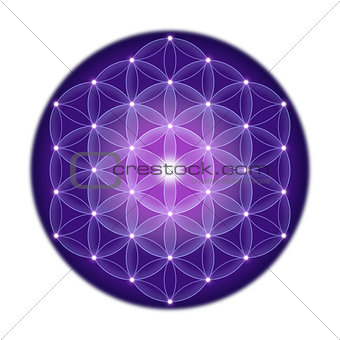 Bright Flower of Life With Stars on White Background