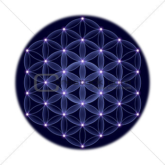 Cosmic Flower of Life With Stars on White Background