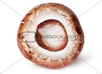 Cap on a brown champignon