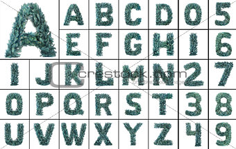 Christmas Alphabet isolated on white