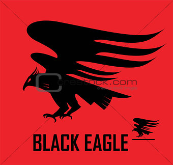 Black eagle, eagle, flying falcon