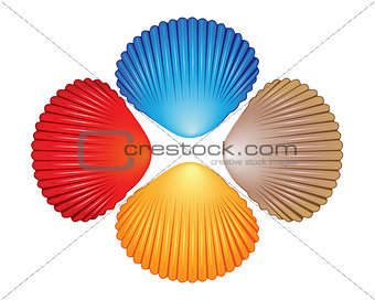 Four different colored seashells