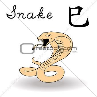 Eastern Zodiac Sign Snake