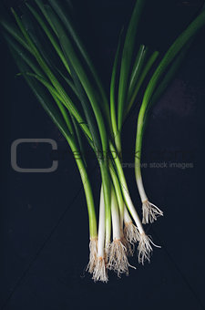  bunch of green onions 