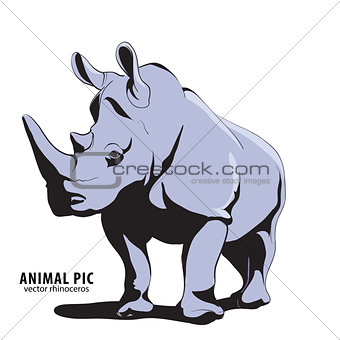 Illustration of rino