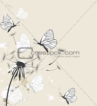 Dandelion and butterflies