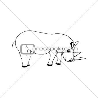 hand draw a rhino