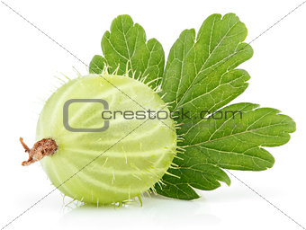 Green gooseberry with leaf on white
