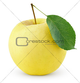 Yellow apple with leaf isolated on a white