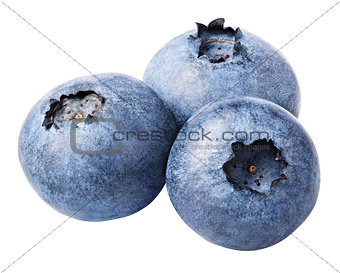 Group of blueberry berry isolated on white