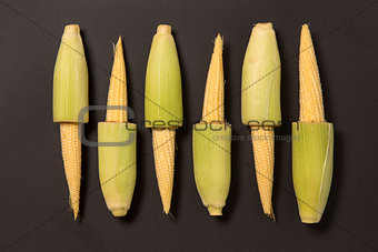 Raw of fresh baby corns 