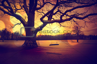 Calm Winter Landscape with Abandoned Tree Swing