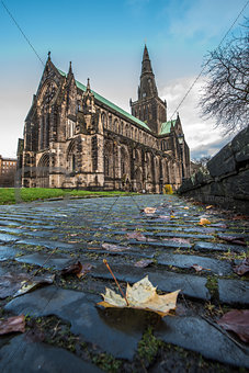 Leaf on cobbles at Glasgow Cathedral, Scotland