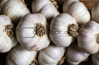 Bunch of garlic