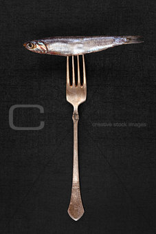 Luxurious seafood gastronomy background with copyspace.