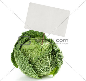 savoy cabbage with price tag