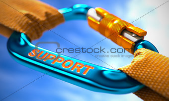 Support on Blue Carabiner between Orange Ropes.