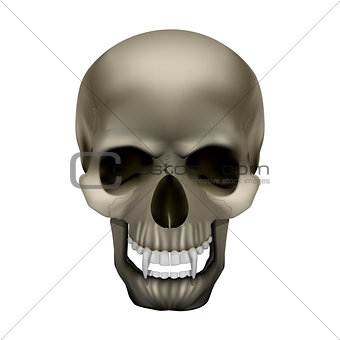 vampire skull with fangs