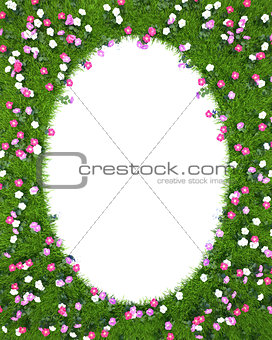 Frame of green grass with flowers isolated on white background