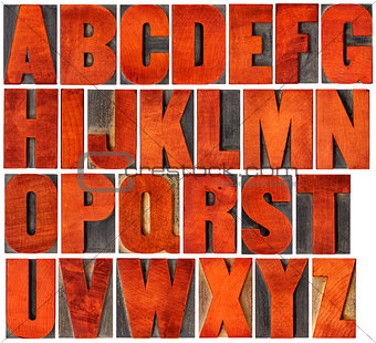 alphabet set in letterpress wood type