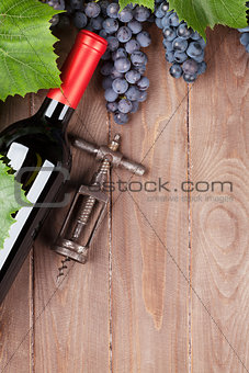 Red grape, wine bottle and vintage corkscrew