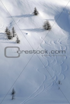 tracks of skiers between the trees