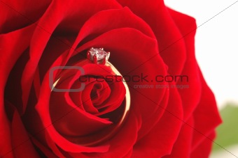 Rose and ring