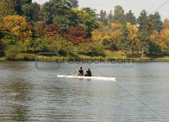 Pair Rowing In Autumn
