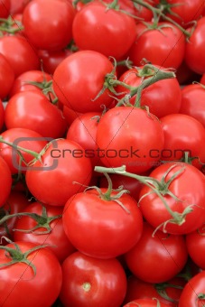 Vine ripe tomato