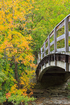 bridge into autumn forest