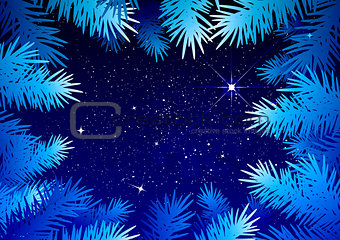 Starry sky in the winter forest. Spruce branches frosty pattern