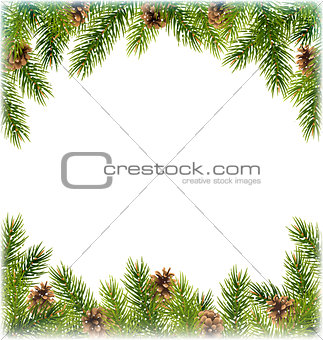 Green Christmas Tree Pine Branches with Pinecones Like Frame wit