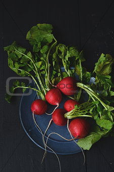  fresh radishes on wooden table