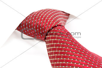 red tie knotted the double Windsor
