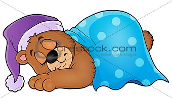 Sleeping bear theme image 1